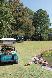 P0405_迚ケ髮・繝√ぉ繝・け繧、繝ウ繝。繧、繝ウ