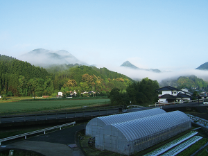 04_サブ画像下_自宅前の山を望む
