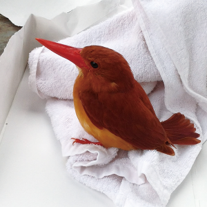 02_sub上_赤しょうびん