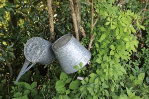 葉祥明阿蘇高原絵本美術館