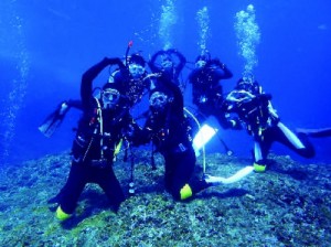 海」は、生命体の万華鏡