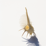 2016年7月号 特集