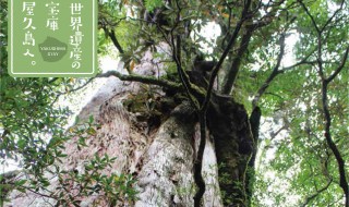 2016年12月号 特集