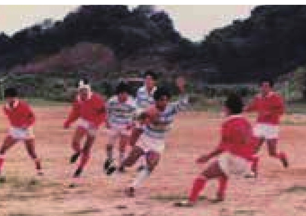 ラグビー観戦